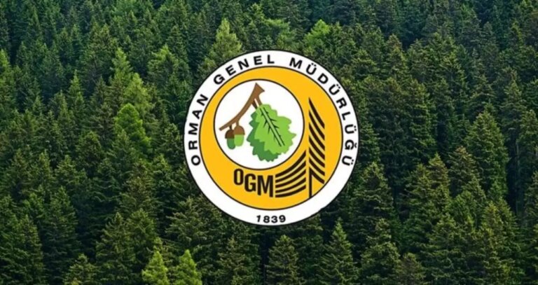 ogm-personel-alimi-basvuru-sonuclari-ogm-3477-personel-alimi-basvuru-sonuclari-ne-zaman-nereden-aciklanacak-hZ7RpJ5Y.jpg