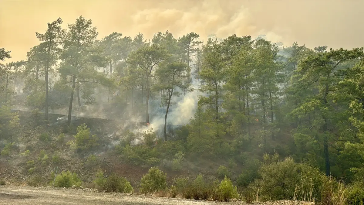 koycegizde orman yangini ikinci gunde 3RlTxTSQ