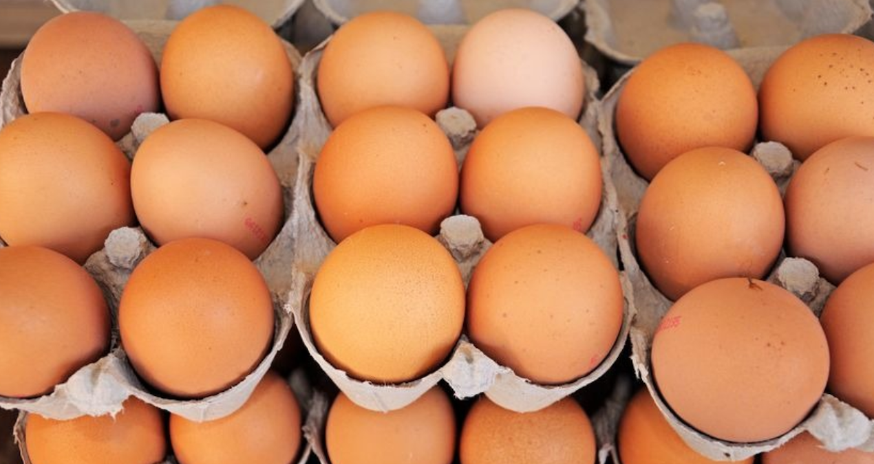 yumurta krizi kapida uretimde sert dusus yZJfu4tf.jpg