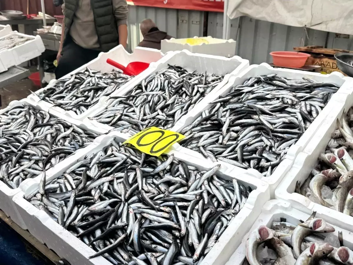 zonguldakta hamsi 100 lira hDkNj1Dj.jpg