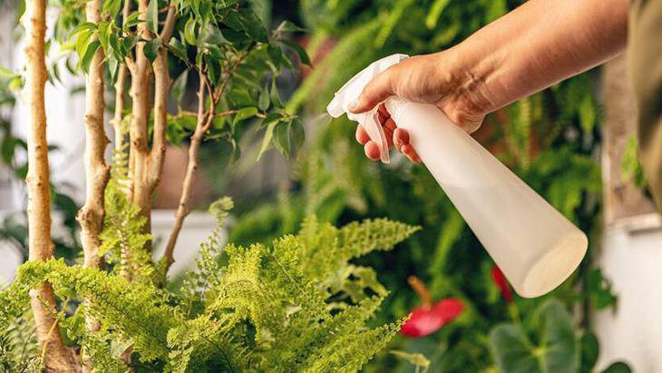 bitkiseverlerin yeni gozdesi 3 malzemeli mucize karisim mantarlari yok ediyor hlAGDDGK.jpg