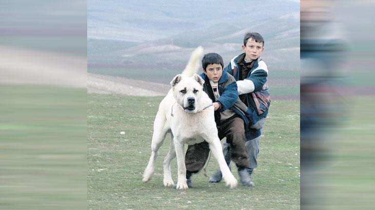 sivas ucretsiz erisime acildi RZEqvm2I.jpg