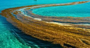 dunyada-kiyisi-olmayan-deniz-hizla-degisiyor-Ztd6jisl